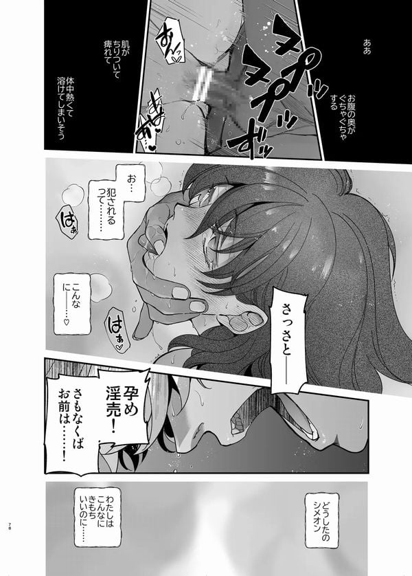 死刑宣告された賢女が嫌われ王子に溺愛されて、幸せになるまでの物語⑨