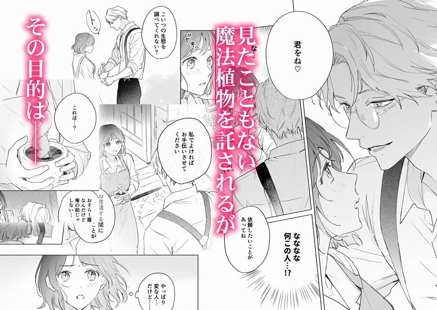 種が芽吹いて恋になるサンプル画像②