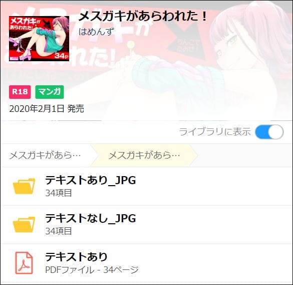 メスガキがあらわれた！（PDF）