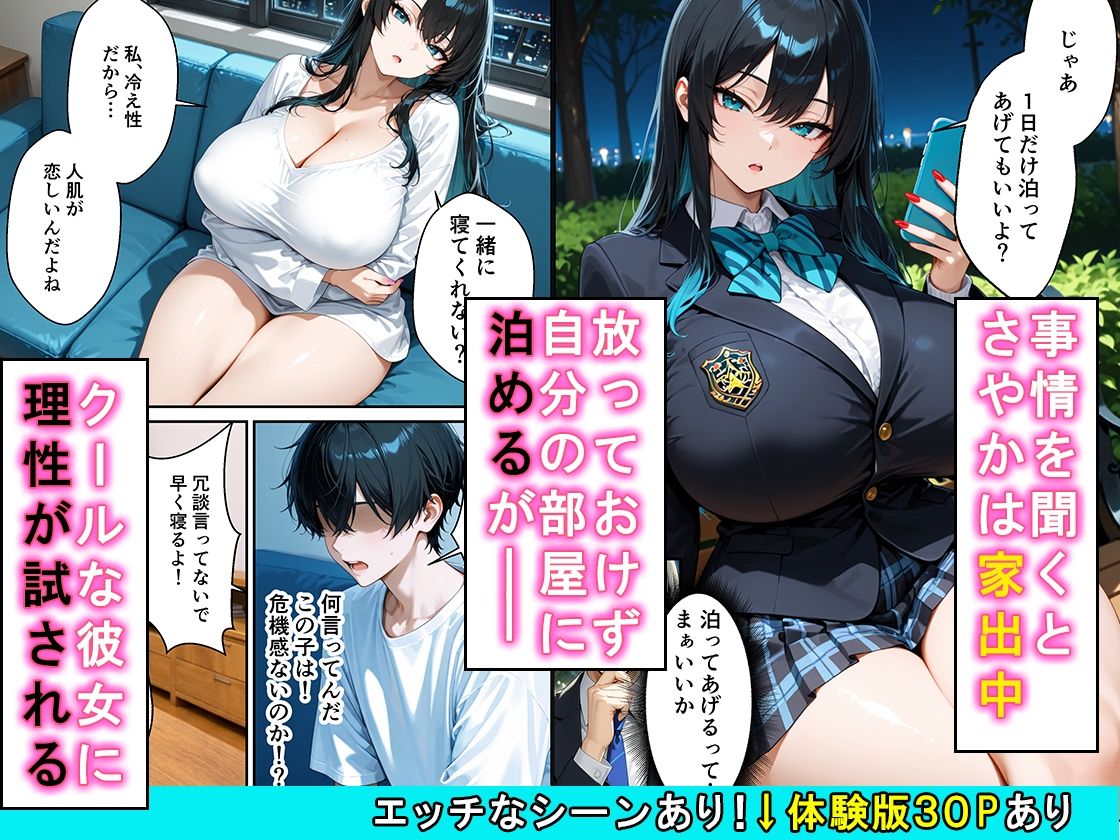 家出したクールなギャルを拾ったらベタ惚れされてイチャラブセックスした話 2枚目