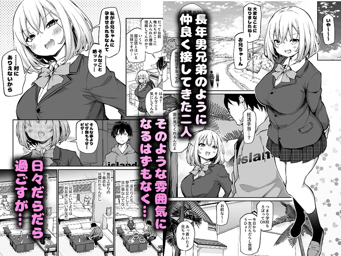 妹孕ませないと出られない島 2枚目