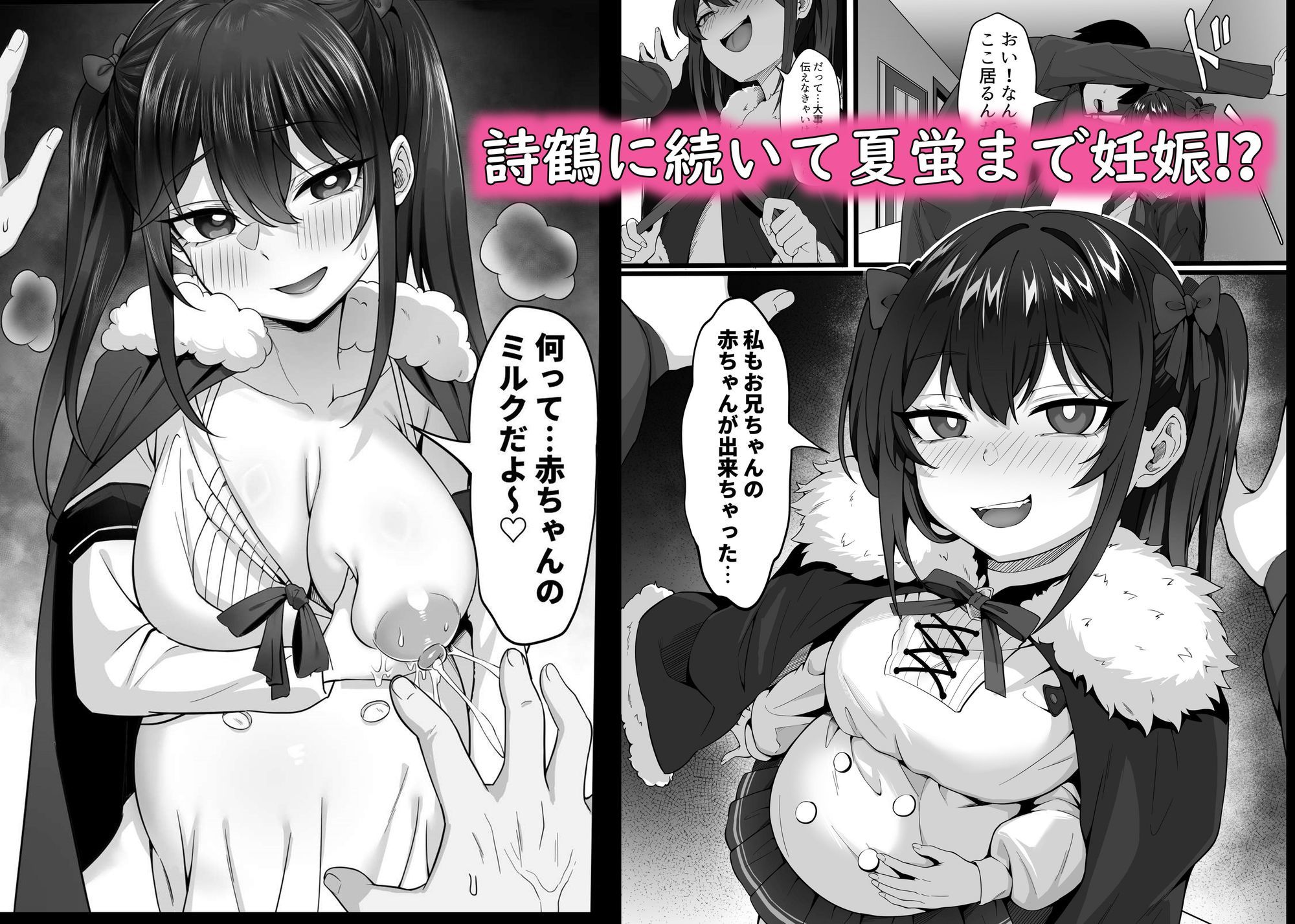 俺の上京性生活「マタニティ姉妹編」 1枚目