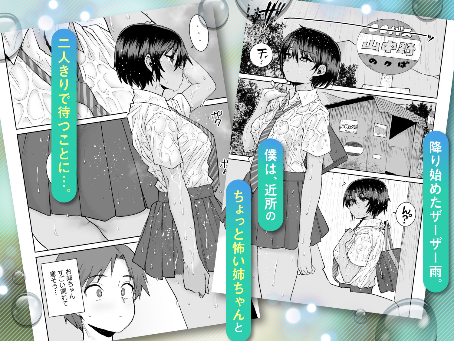 無口で気の強いボーイッシュなお姉ちゃんで僕は童貞を卒業しました 1枚目