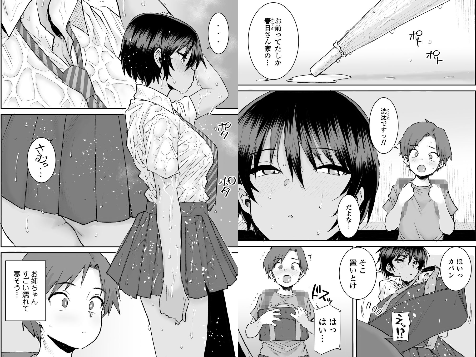 無口で気の強いボーイッシュなお姉ちゃんで僕は童貞を卒業しました 5枚目