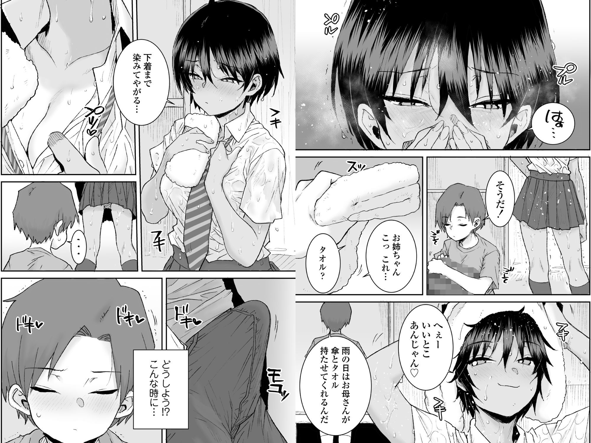 無口で気の強いボーイッシュなお姉ちゃんで僕は童貞を卒業しました 6枚目