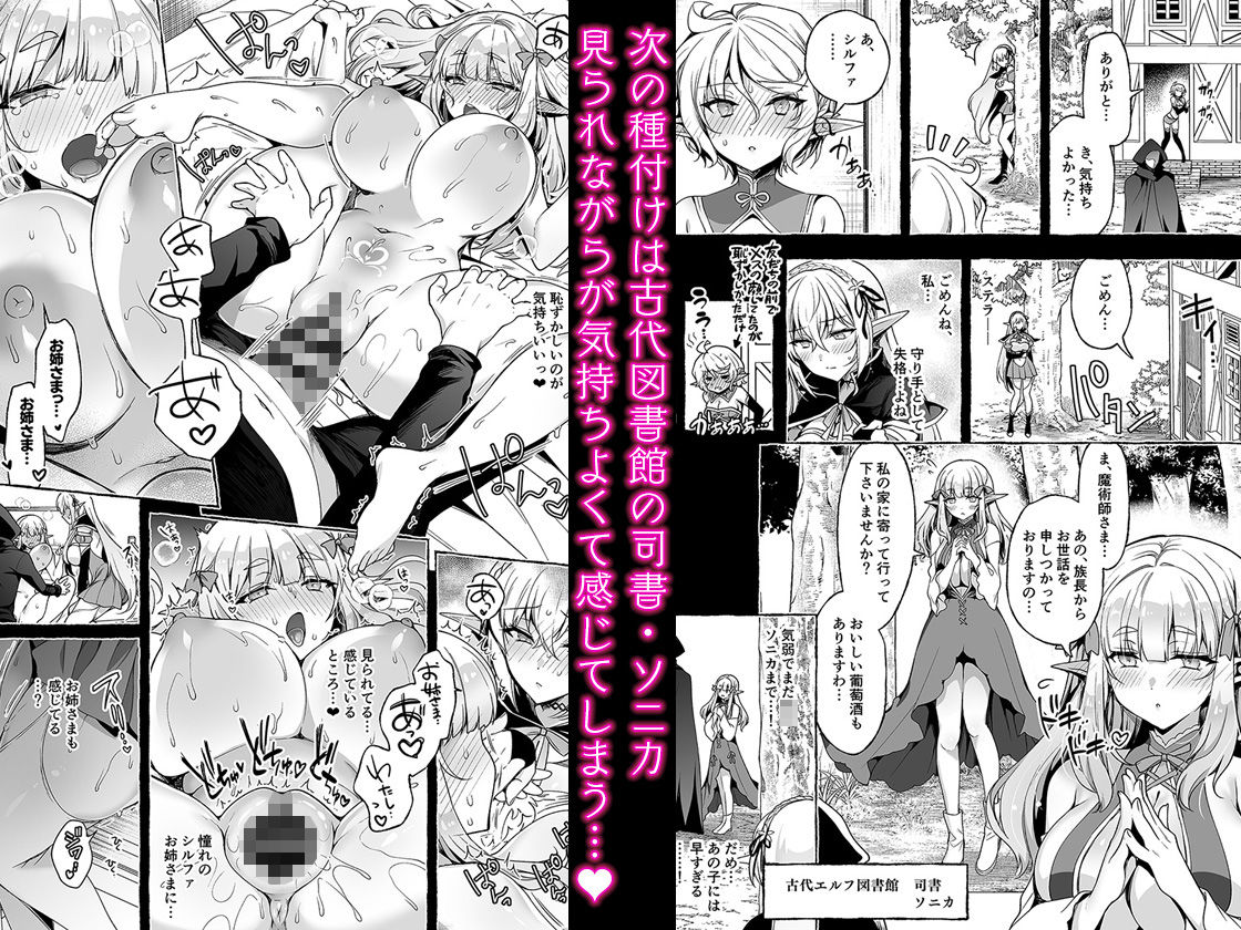 淫紋魔術師のエルフハーレム 3枚目