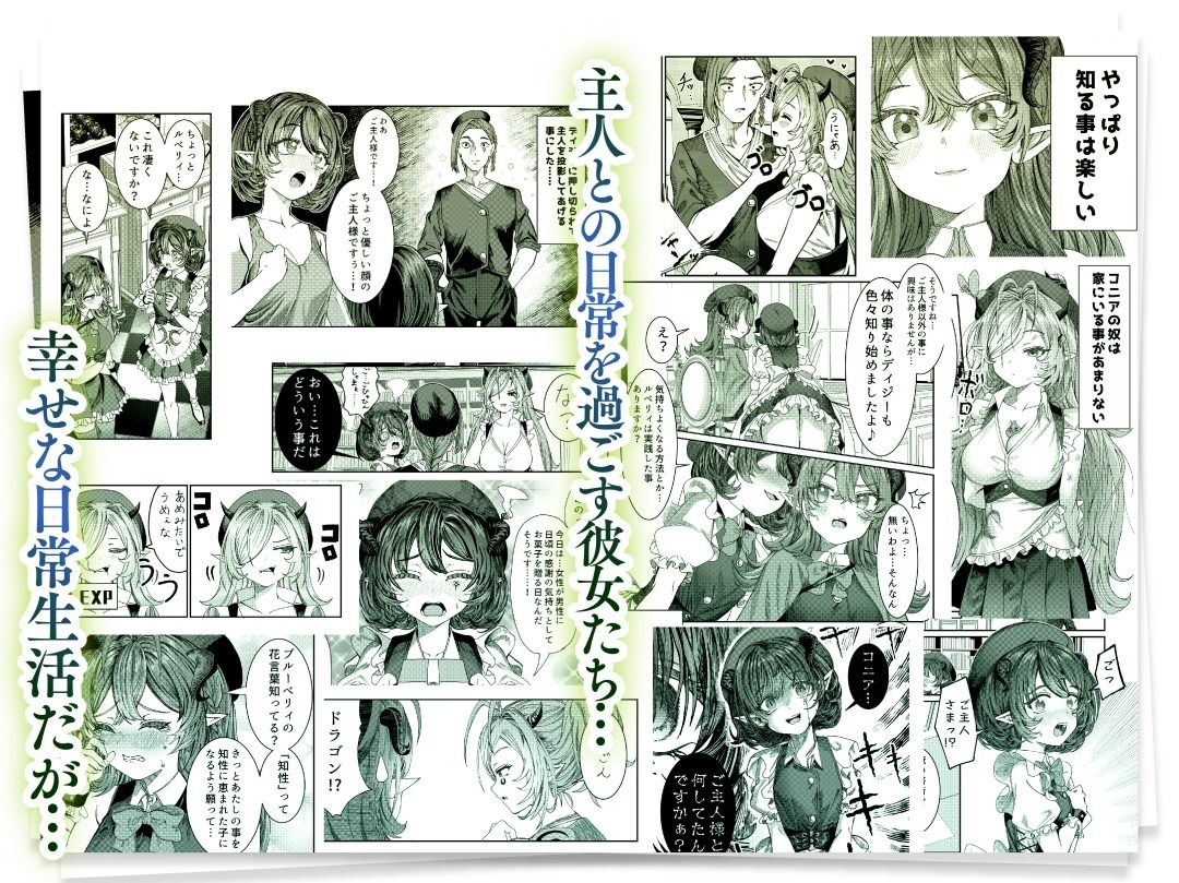奴◯を調教してハーレム作る〜育てた奴◯たちと純愛ハーレムHするまでの話〜 2枚目