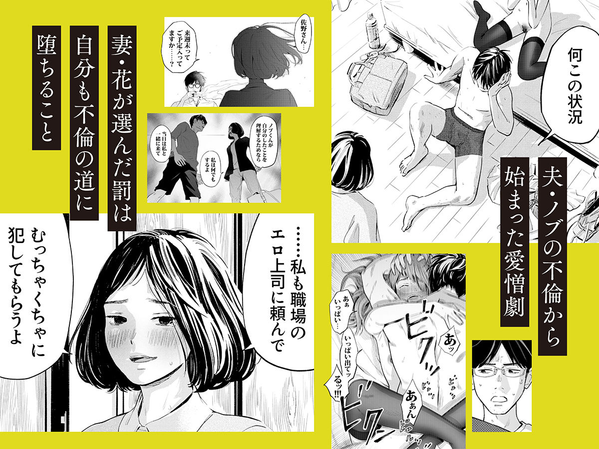 ハナミズキ 第四話「落花」 2枚目