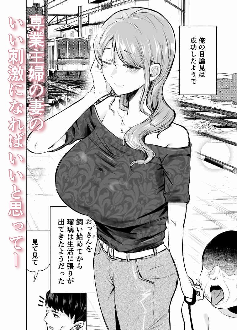 妻がおっさんに寝取られた話 3枚目