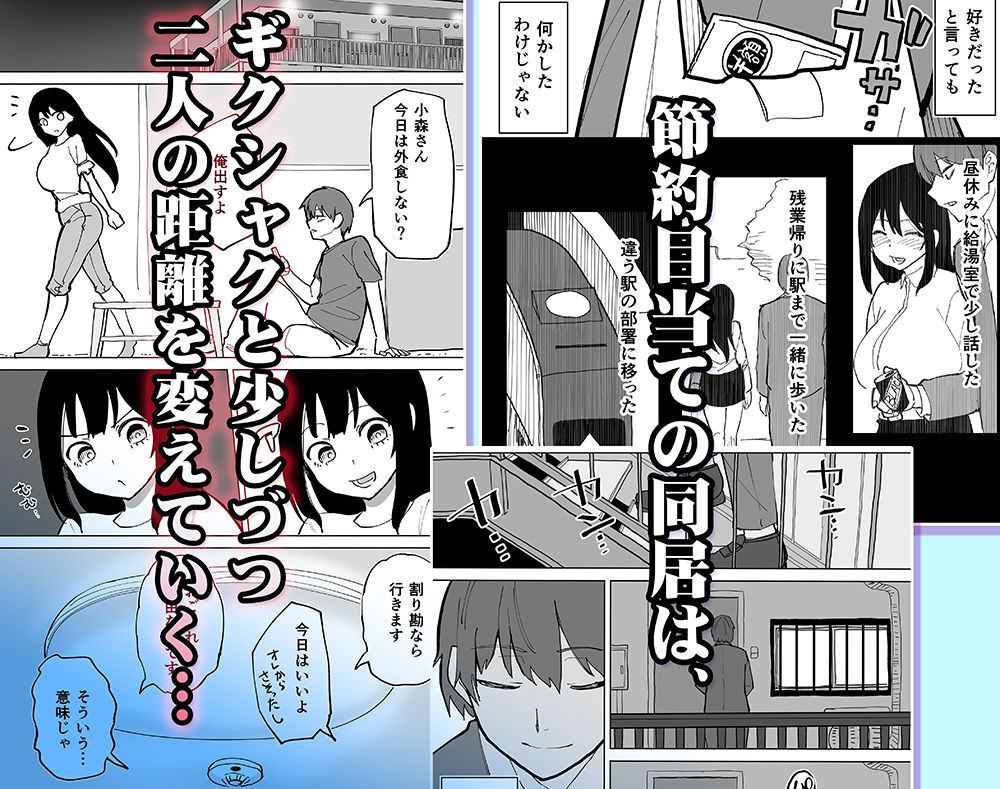 家賃を半分にしただけ 3枚目